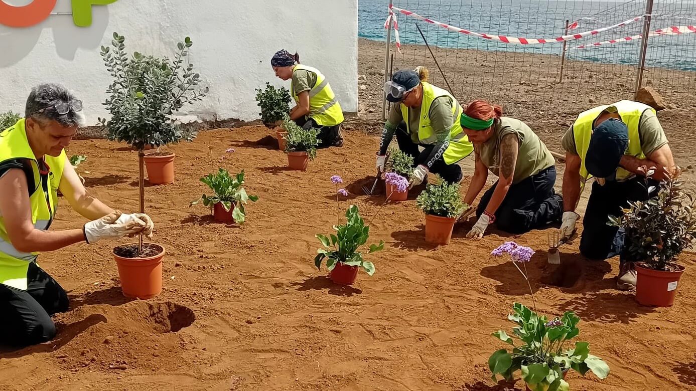 No se puede visualizar