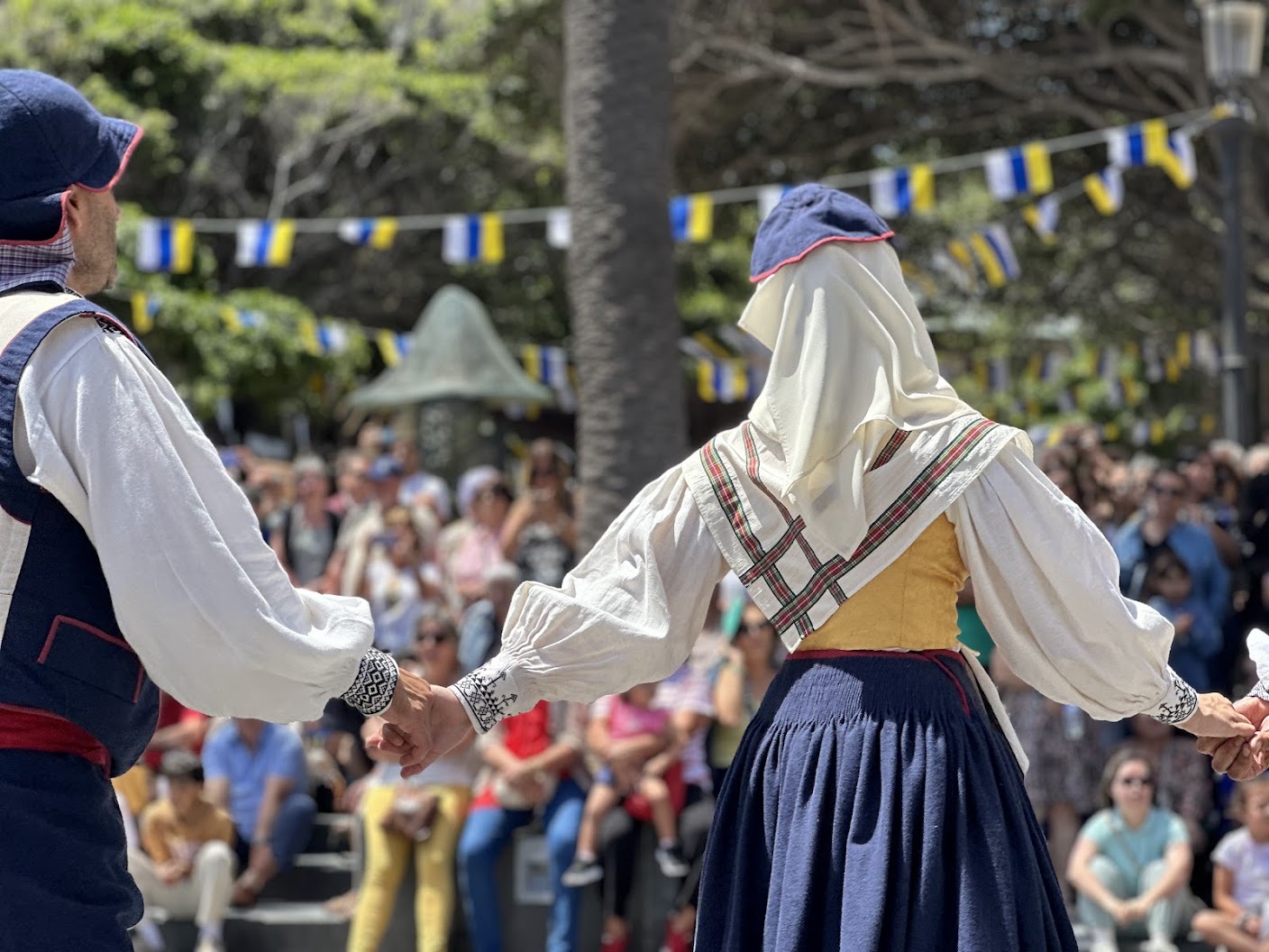 No se puede visualizar