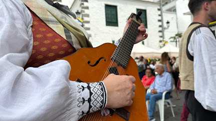 No se puede visualizar