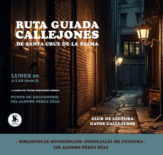 No se puede visualizar