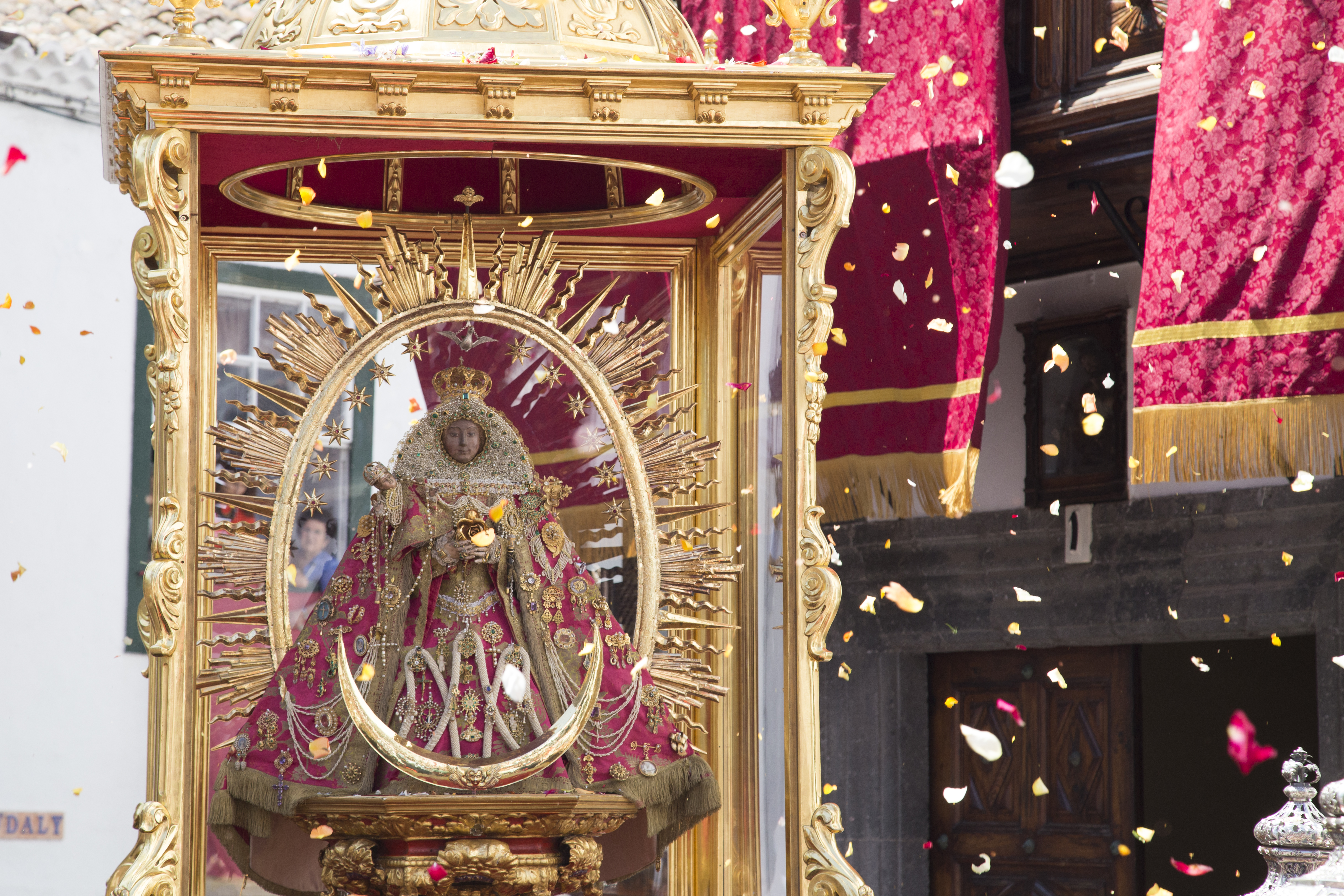 No se puede visualizar