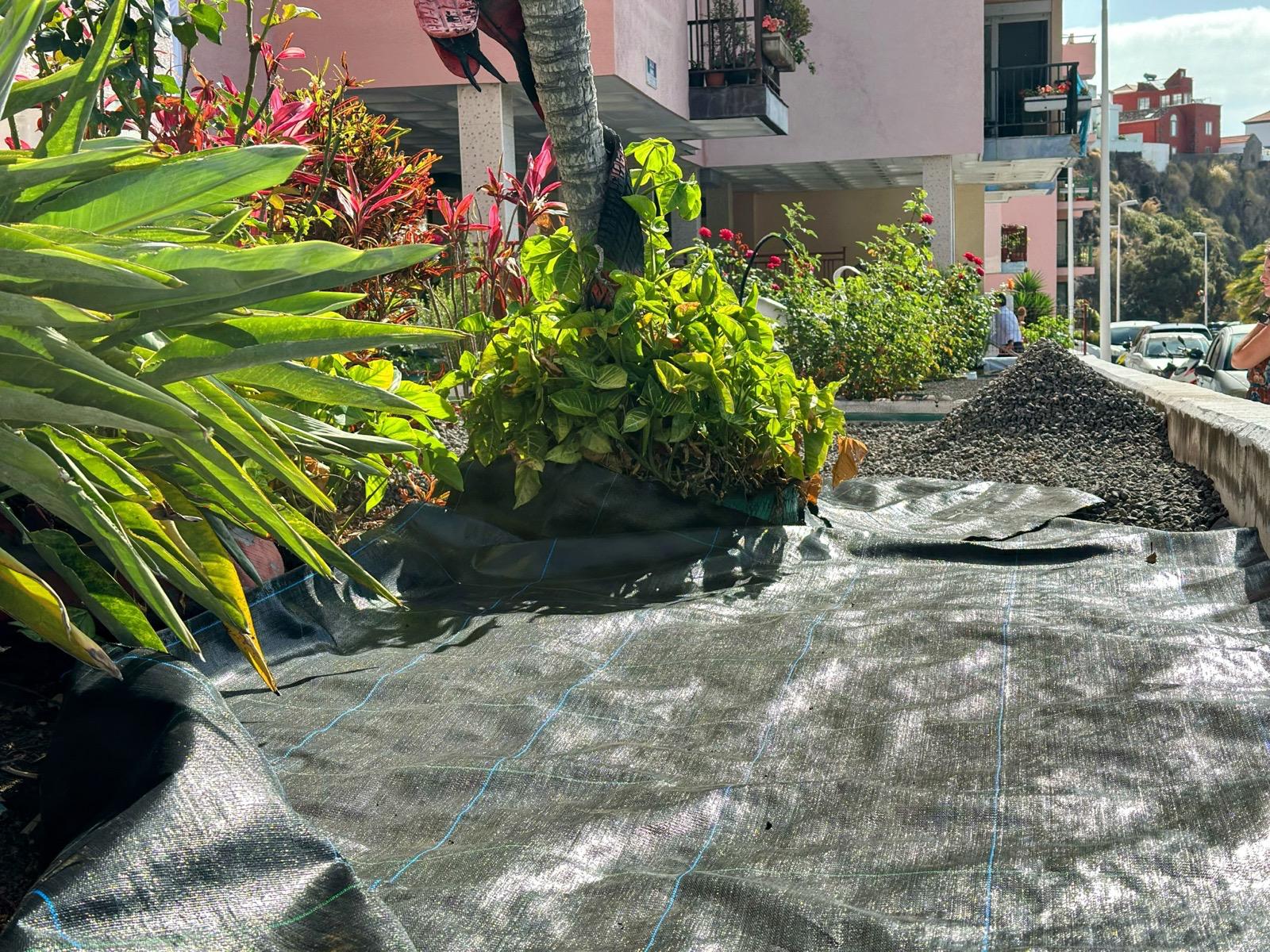 No se puede visualizar